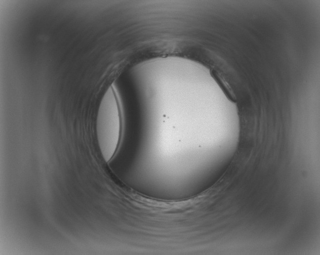 X0000068260035200604210926