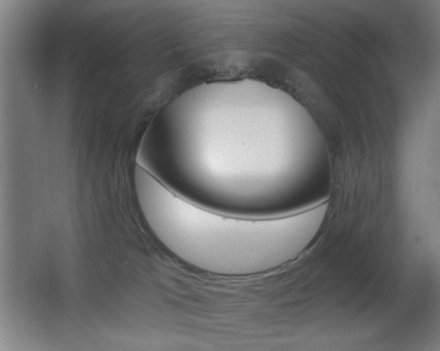 X0000068260037200604210926