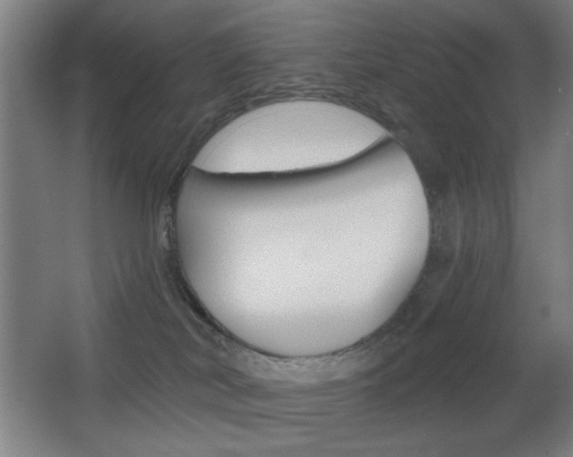 X0000068260038200604210926