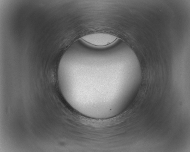 X0000068260039200604210926