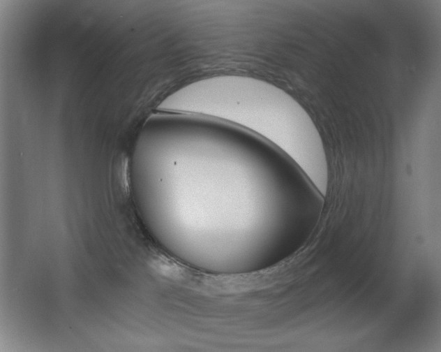 X0000068260041200604210926