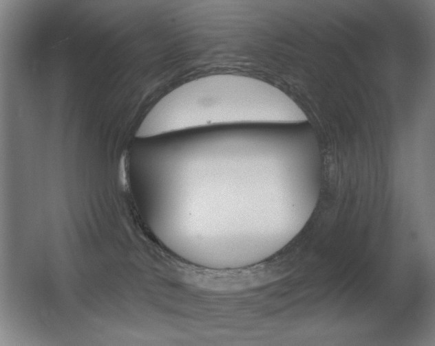 X0000068260042200604210926