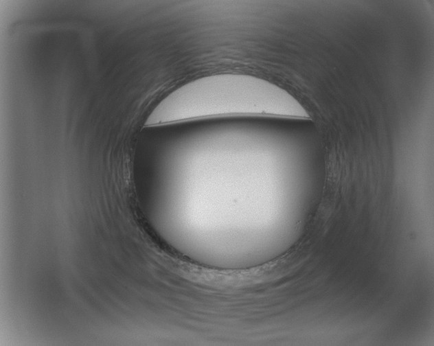 X0000068260043200604210926