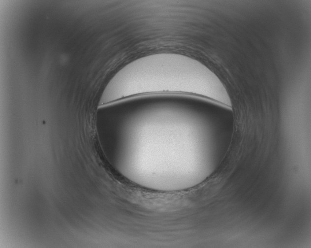 X0000068260044200604210926