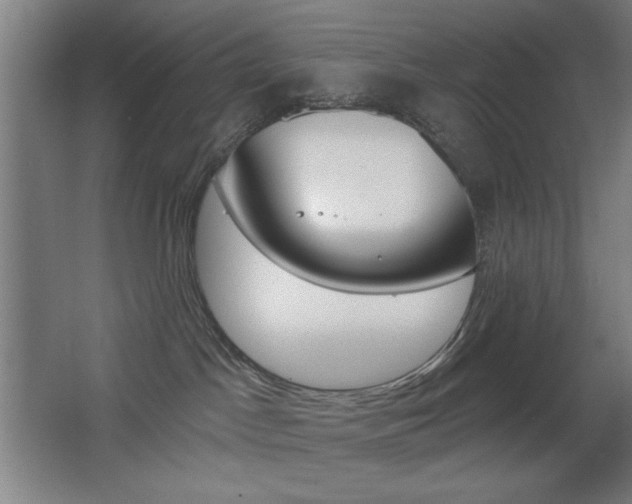 X0000068260045200604210926