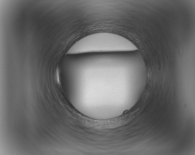 X0000068260046200604210926