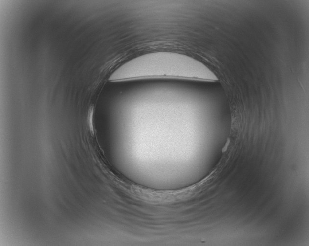 X0000068260047200604210925