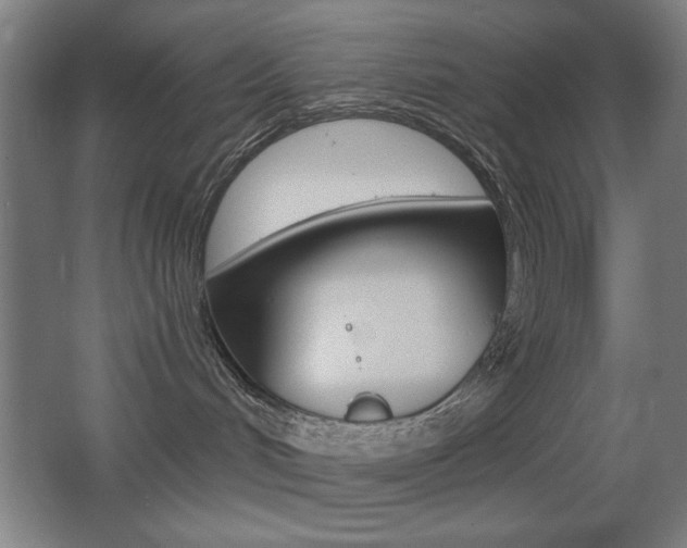 X0000068260048200604210925