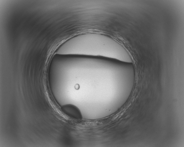 X0000068260049200604210925