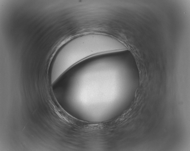 X0000068260050200604210925