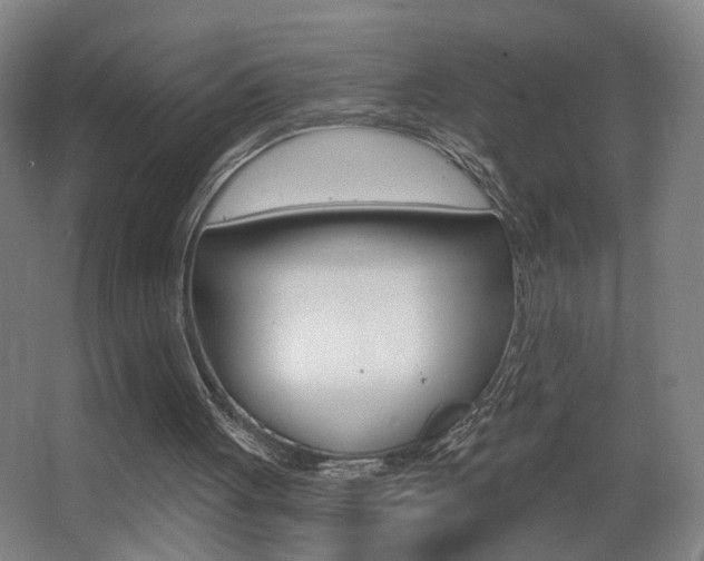 X0000068260051200604210925