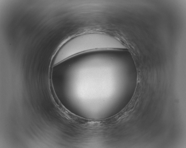 X0000068260052200604210925