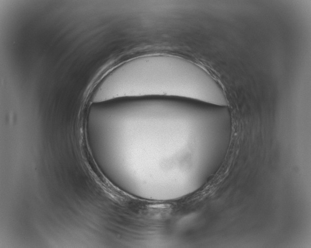 X0000068260053200604210925