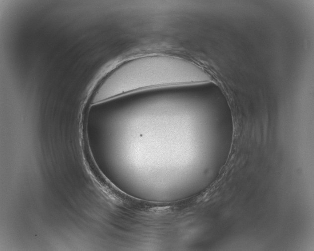 X0000068260054200604210925