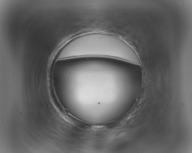 X0000068260055200604210925