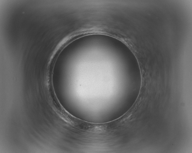 X0000068260056200604210925