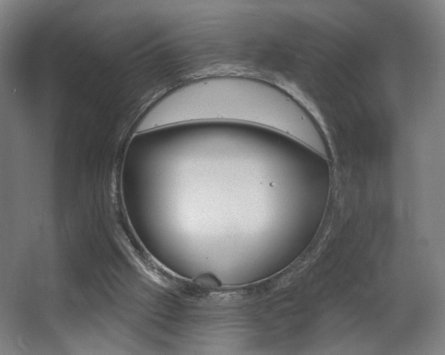 X0000068260057200604210925