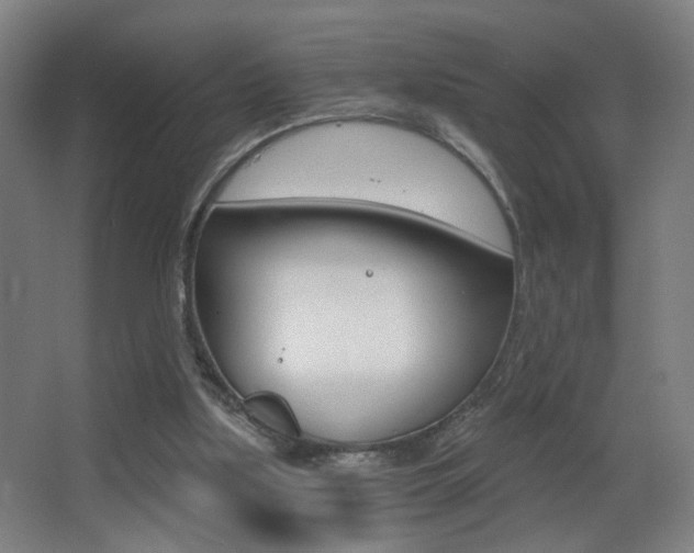 X0000068260059200604210925