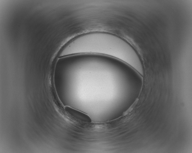 X0000068260060200604210925