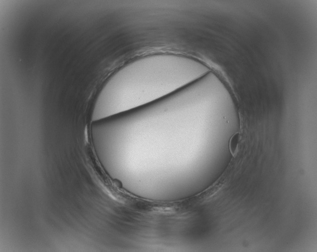 X0000068260061200604210925