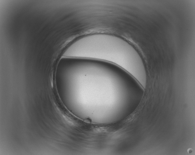 X0000068260062200604210925