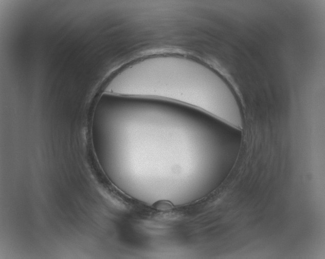 X0000068260063200604210925