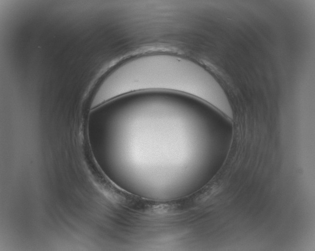 X0000068260064200604210925