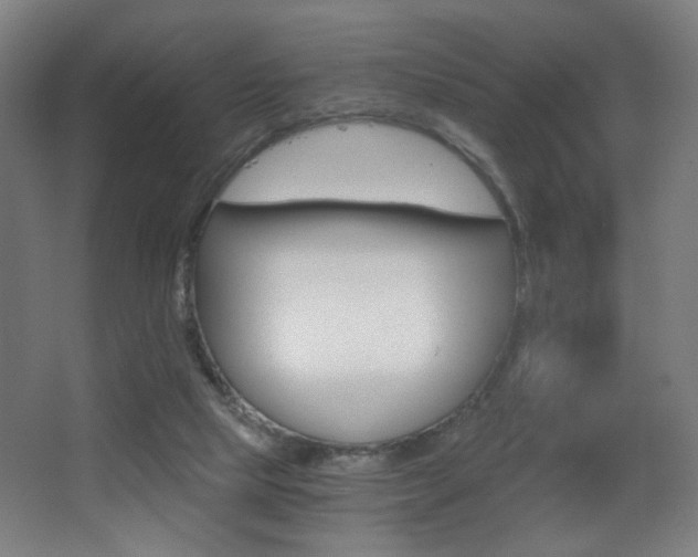 X0000068260065200604210925