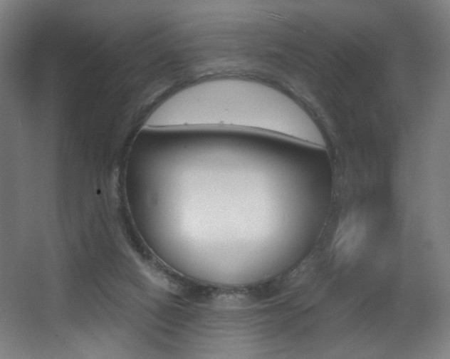 X0000068260066200604210925