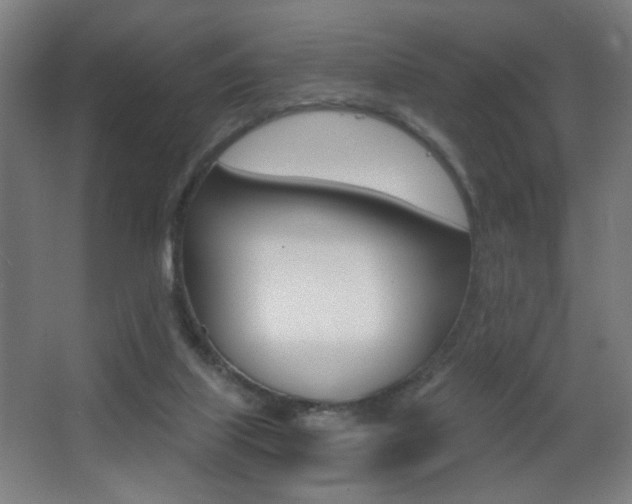 X0000068260067200604210925