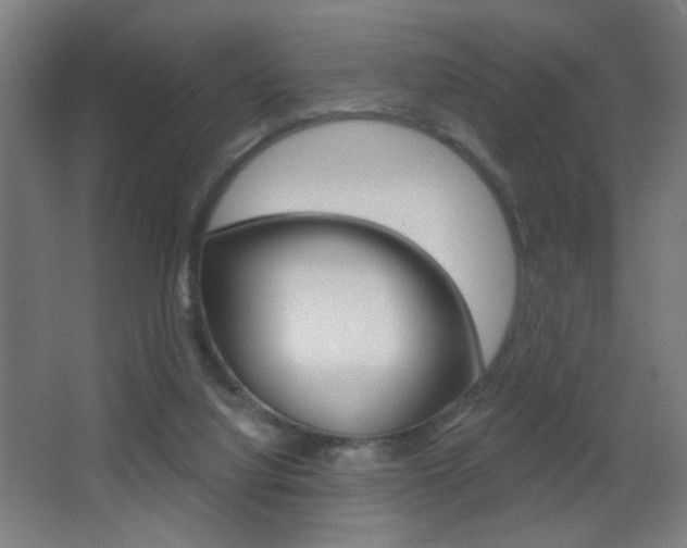 X0000068260068200604210925