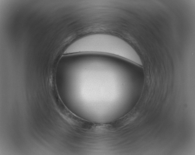 X0000068260072200604210925