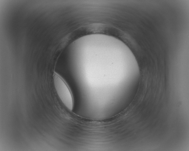 X0000068260073200604210925