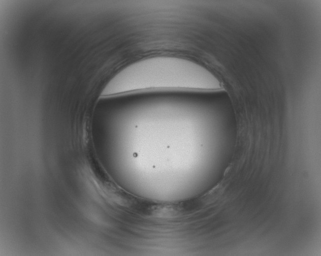 X0000068260074200604210925