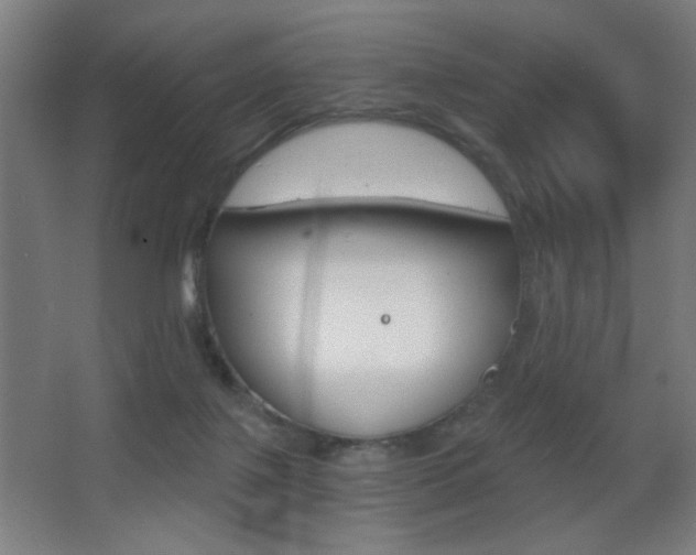 X0000068260075200604210925