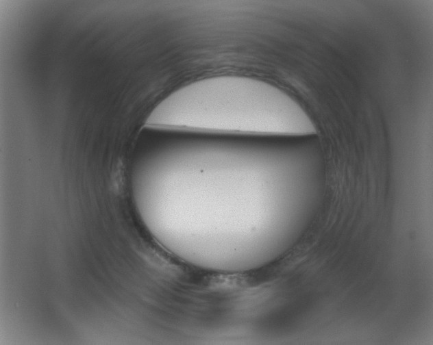 X0000068260077200604210925