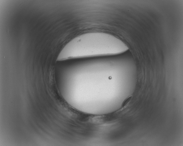 X0000068260078200604210925