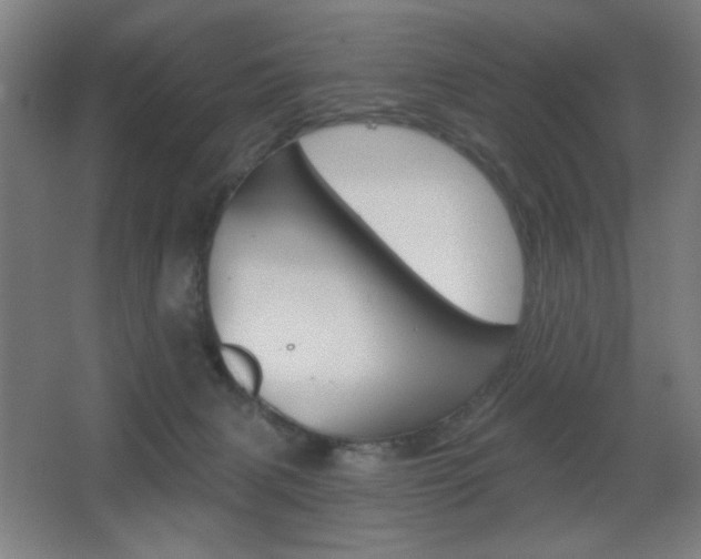 X0000068260079200604210925