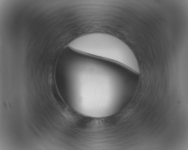 X0000068260080200604210925