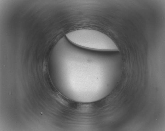 X0000068260081200604210925