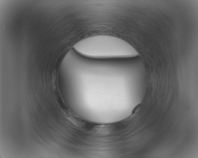 X0000068260082200604210925