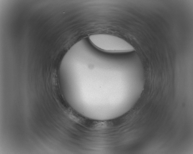 X0000068260083200604210925