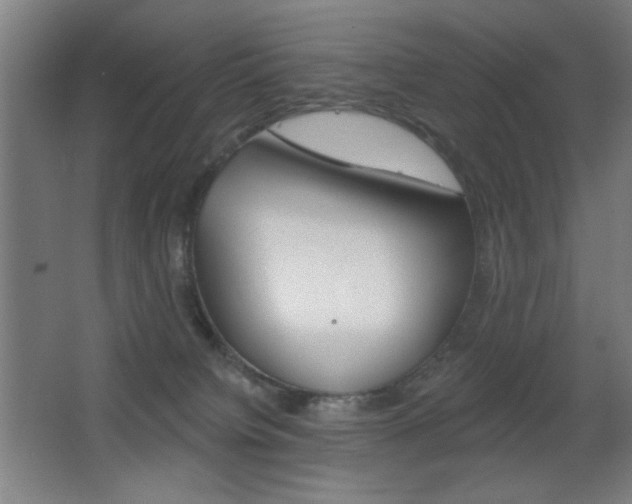 X0000068260084200604210925