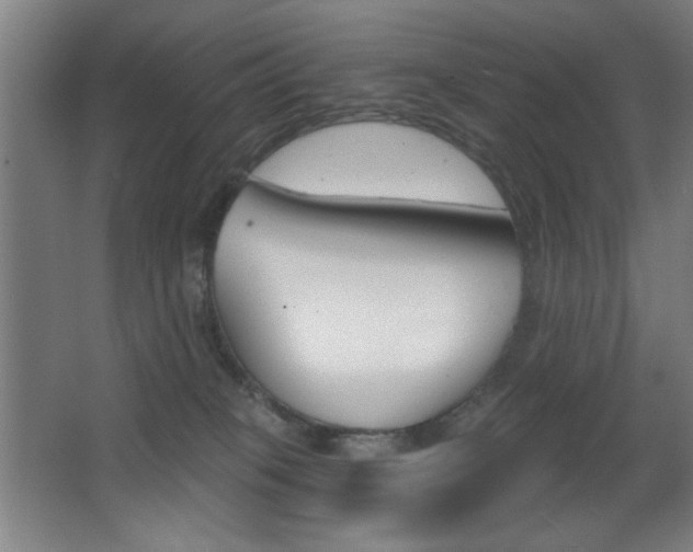 X0000068260085200604210925