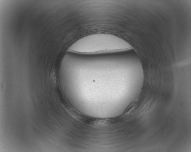 X0000068260086200604210925