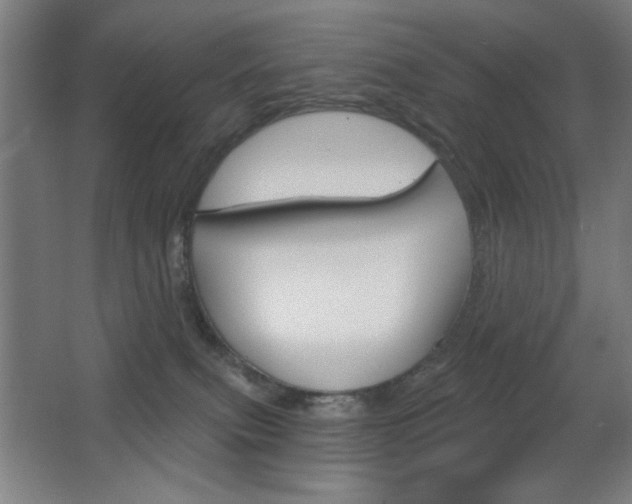 X0000068260087200604210925