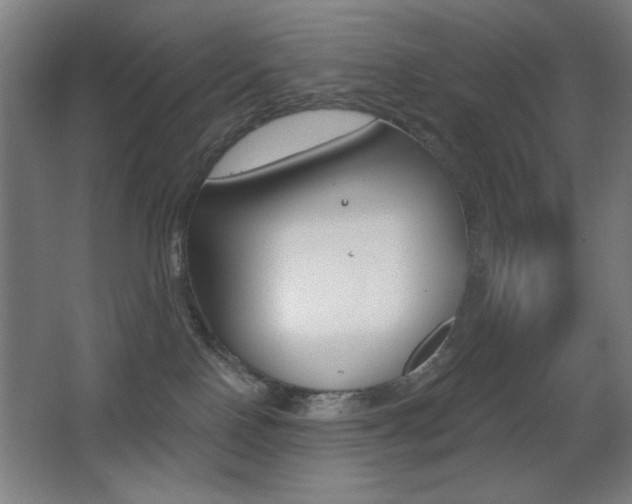 X0000068260090200604210925