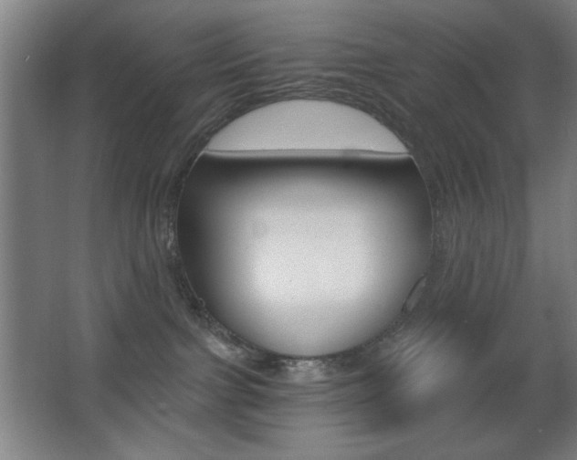 X0000068260091200604210925