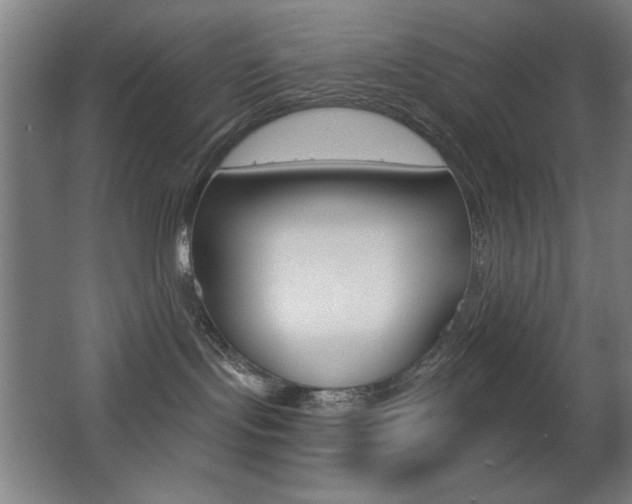 X0000068260095200604210925