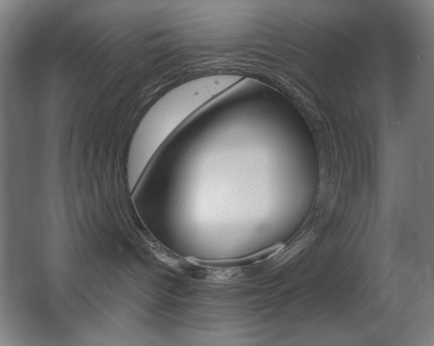 X0000068260096200604210925